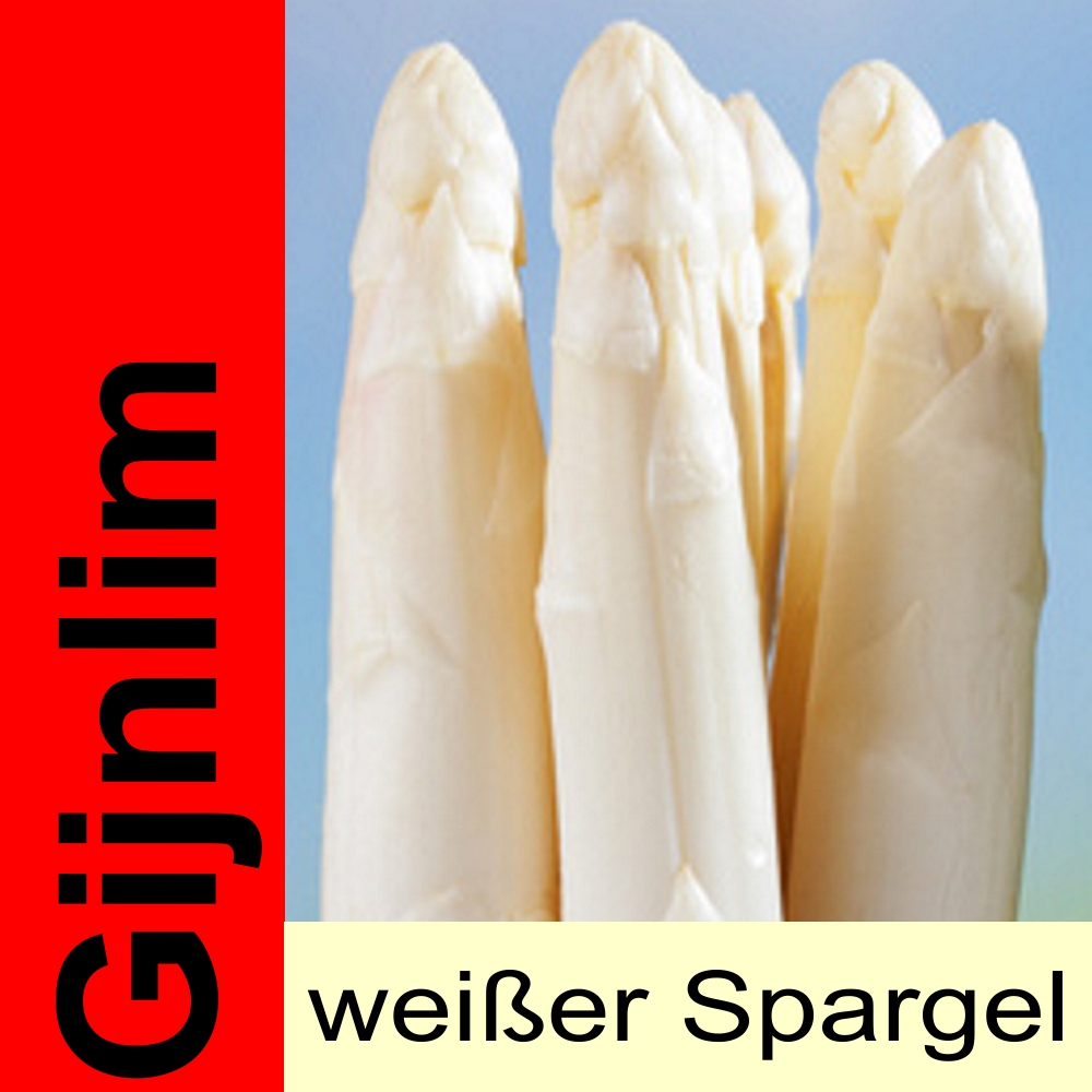 SPA GI.jpg Spargelpflanzen weiß