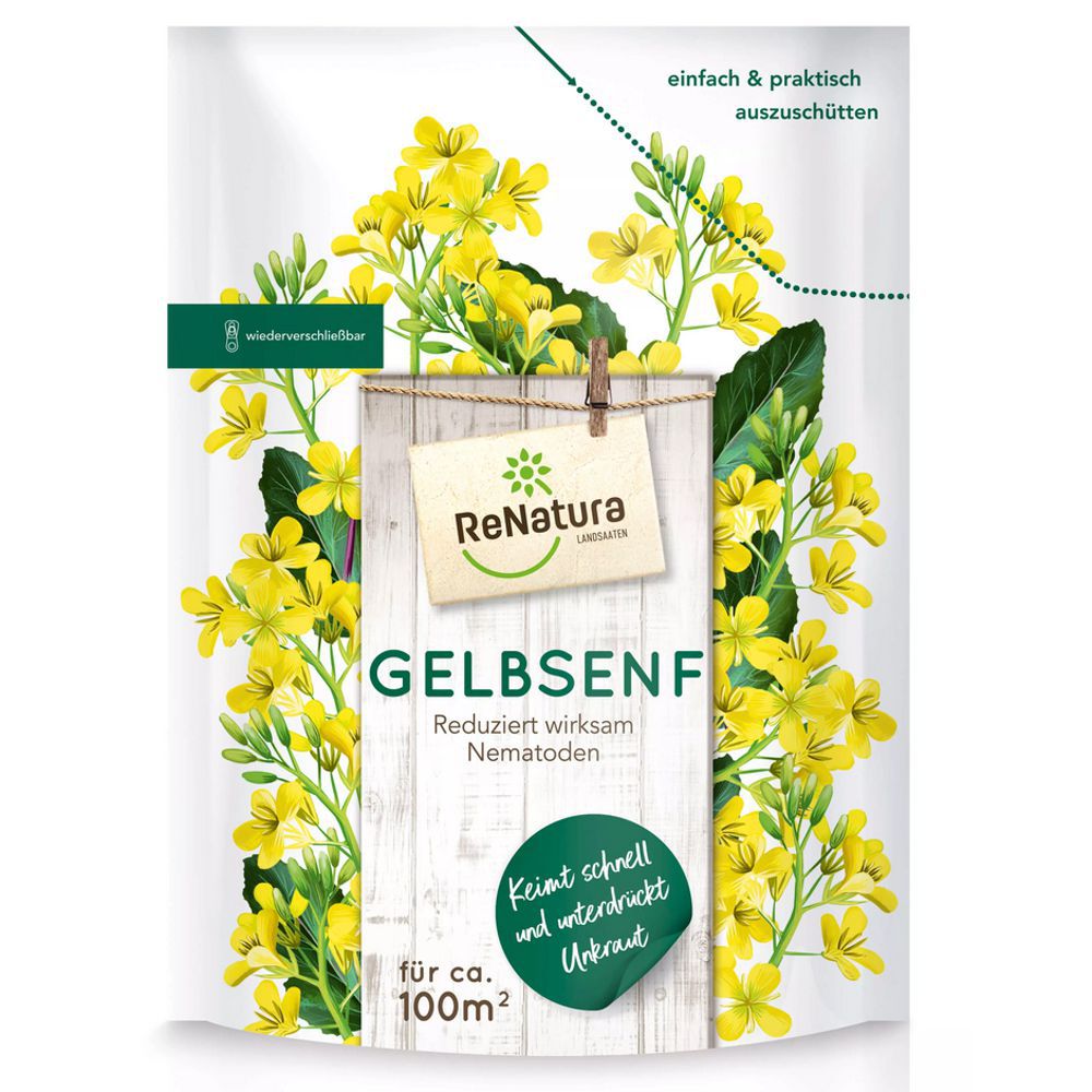 14042002.jpg Gelbsenf Saatgut 500
