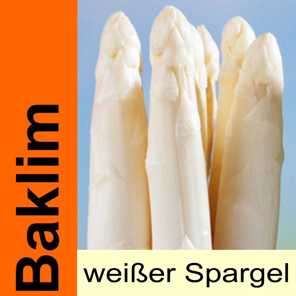SPA BA.jpg Spargelpflanzen weiß