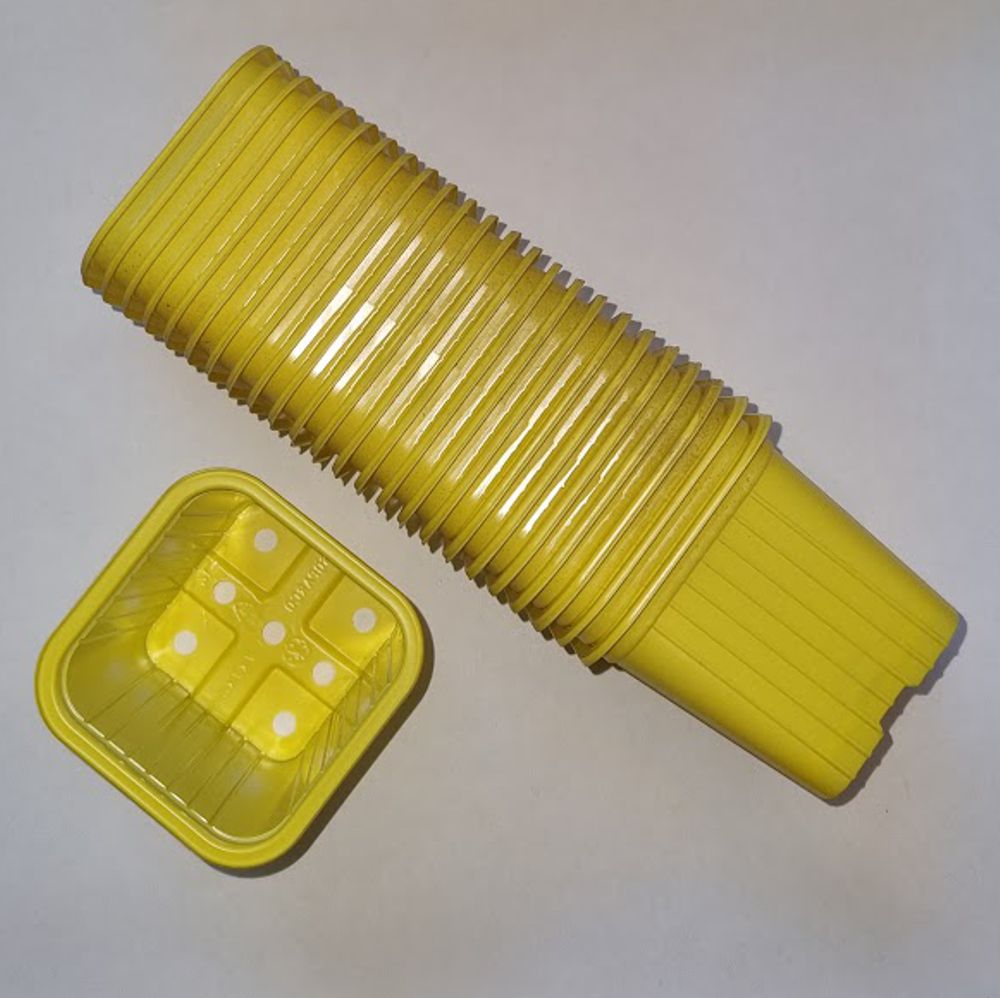 Anzuchttopf für Erdbeerpflanzen bevor sie in den Garten kommen