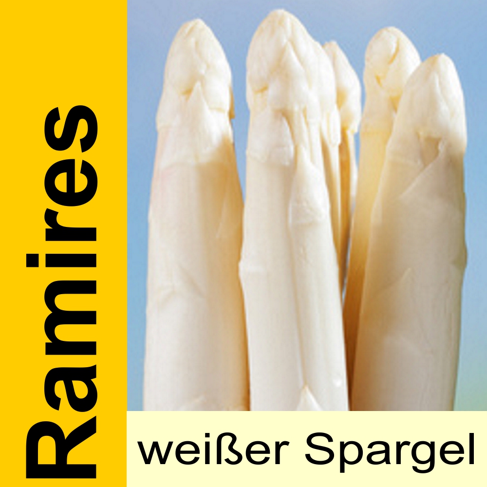 SPA RM.jpg Spargelpflanzen weiß